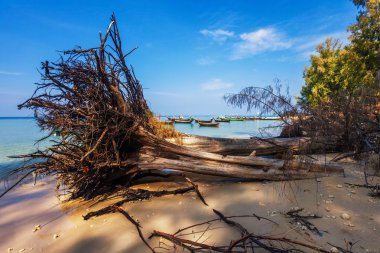 Egzotik tropikal plaj.