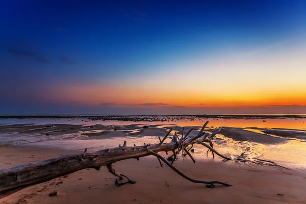 Tropischer Strand bei Sonnenuntergang. — Stockfoto