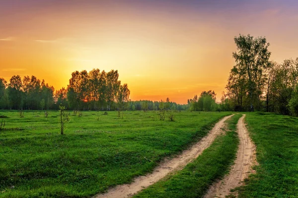 Vägen i solnedgången fältet — Stockfoto