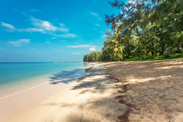 Egzotyczna plaża tropikalna. — Zdjęcie stockowe