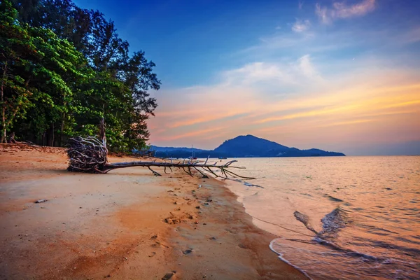 Tropisk strand vid solnedgången. — Stockfoto