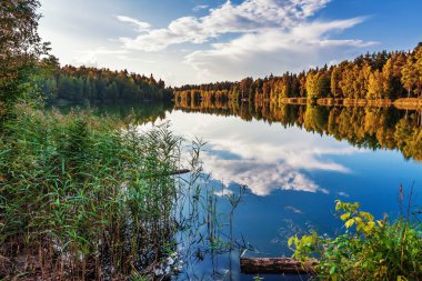 sonbahar göl kenarında orman