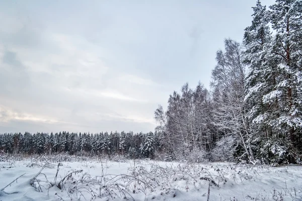 Oscuro atardecer en campo de invierno — Foto de Stock