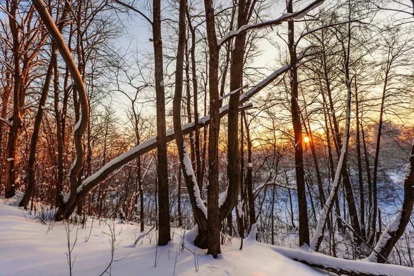 Belo pôr do sol de inverno — Fotografia de Stock