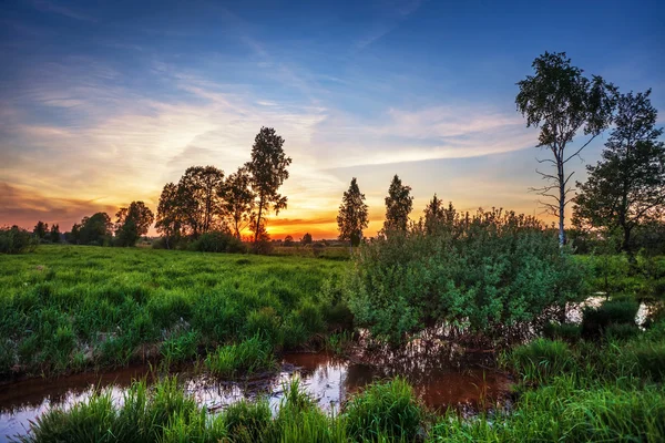 Coucher de soleil estival autour du champ et de la rivière — Photo