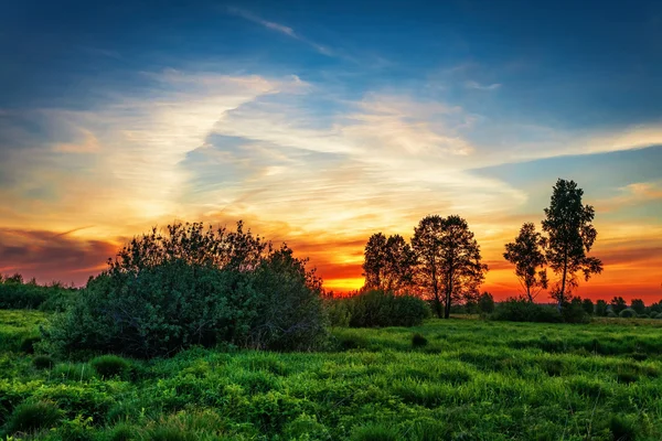 Zonsondergang in de zomer veld — Stockfoto