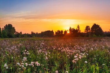 Yaz alanına Sunset