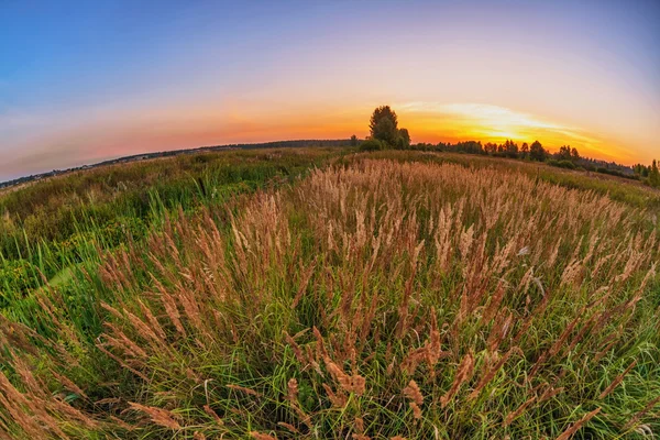 Pôr do sol no campo de verão — Fotografia de Stock