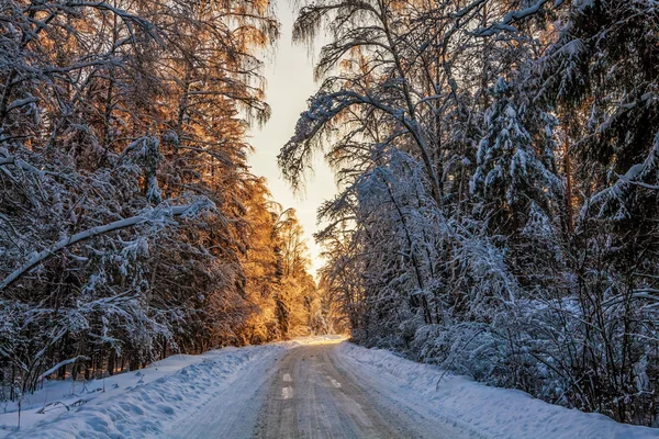 Schöner Wintersonnenuntergang — Stockfoto