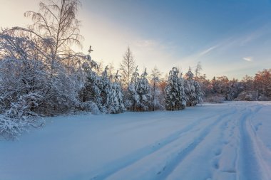 Kış alanına Sunset
