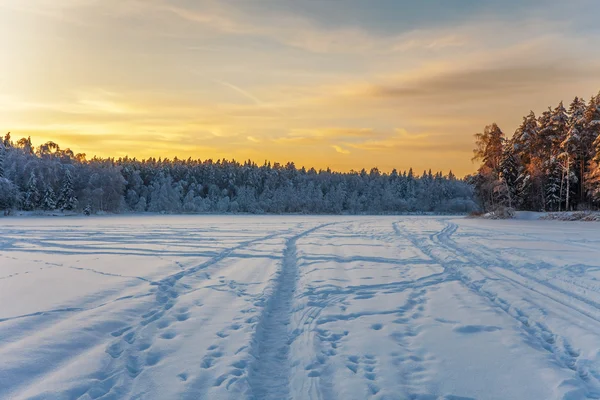 Solnedgång i vinter fältet — Stockfoto