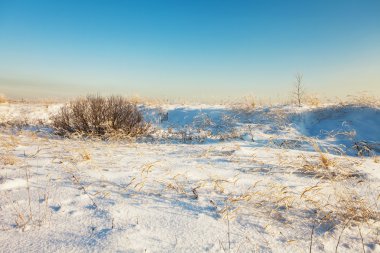 Kış alanı altında