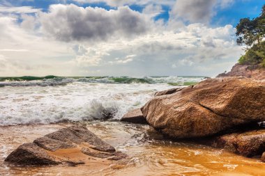 karanlık gökyüzü altında tropik sahil