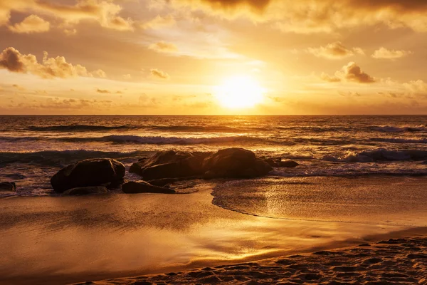 Praia tropical ao pôr do sol. — Fotografia de Stock