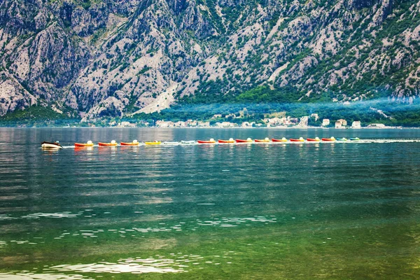 Row of kayaks in the sea — Stock Photo, Image