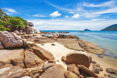 Egzotik tropikal plaj.