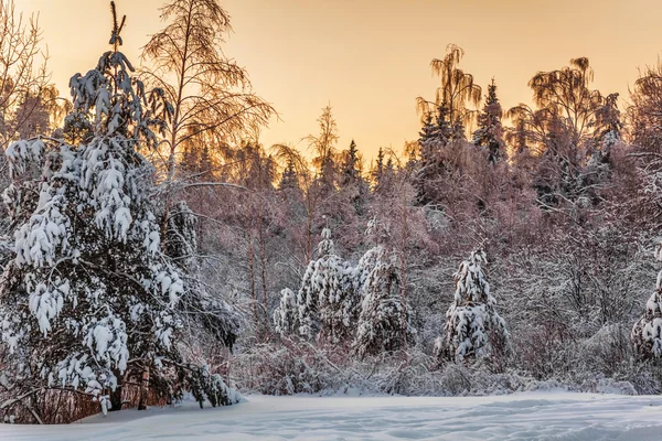 Zonsondergang in de prachtige winter — Stockfoto