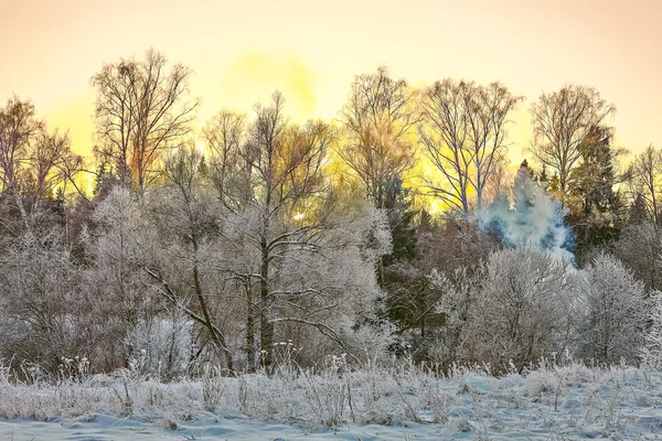 Puesta de sol en campo de invierno — Foto de Stock