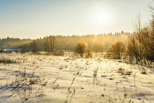 Закат в зимнем поле
