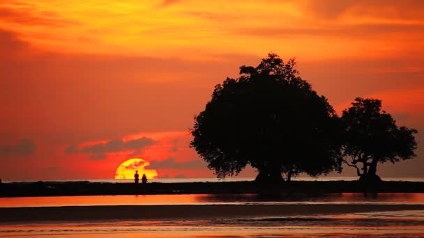 Закат солнца с деревьями и народами силуэт — стоковое видео