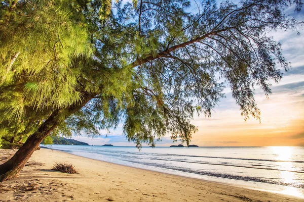 Praia tropical ao pôr do sol. — Fotografia de Stock