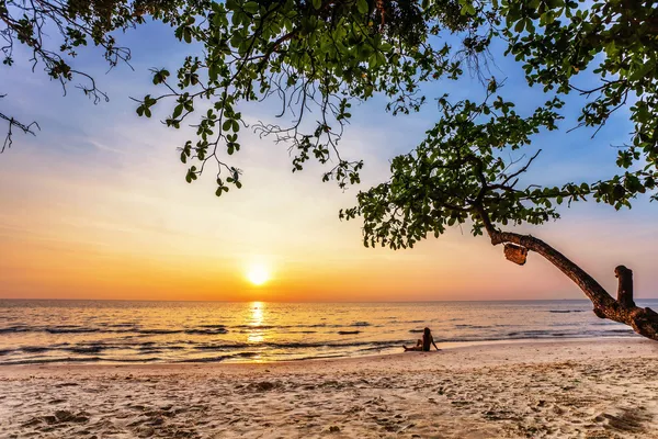 Tropisk strand vid solnedgången. — Stockfoto