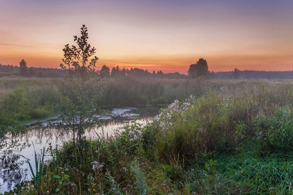 Nebeliger Sonnenuntergang im Sommerfeld — Stockfoto