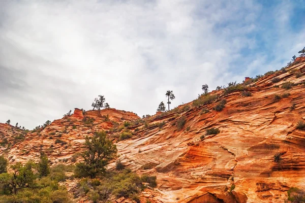 Pendientes del cañón de Zion — Foto de Stock