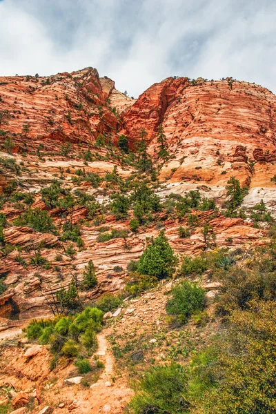 Zion canyon yamaçlarında — Stok fotoğraf