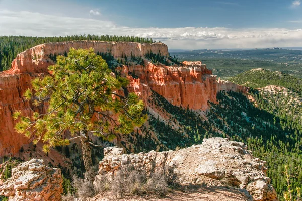 View from viewpoint of Bryce Canyon. — Stock Photo, Image