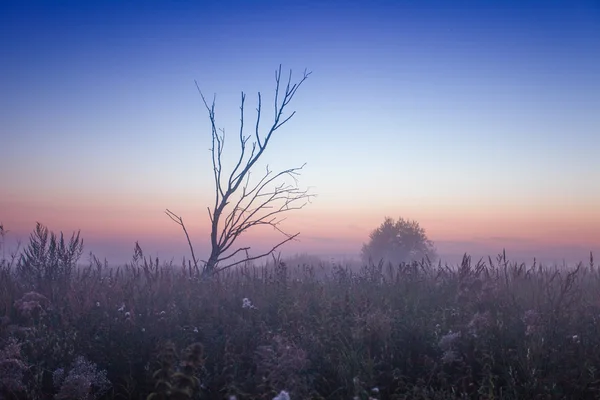 Efter dimmigt sunset — Stockfoto