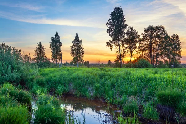 Coucher de soleil estival autour du champ et de la rivière — Photo