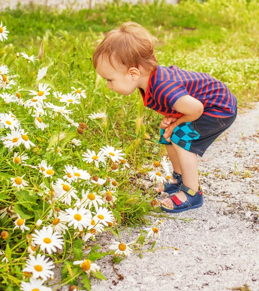 Little boy with flowers — Stock Photo, Image