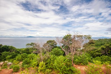 egzotik tropik ada mavi gökyüzü altında.