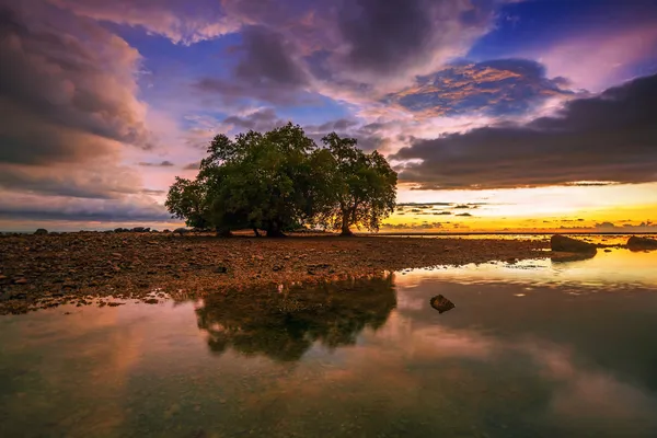 Caída del atardecer — Foto de Stock