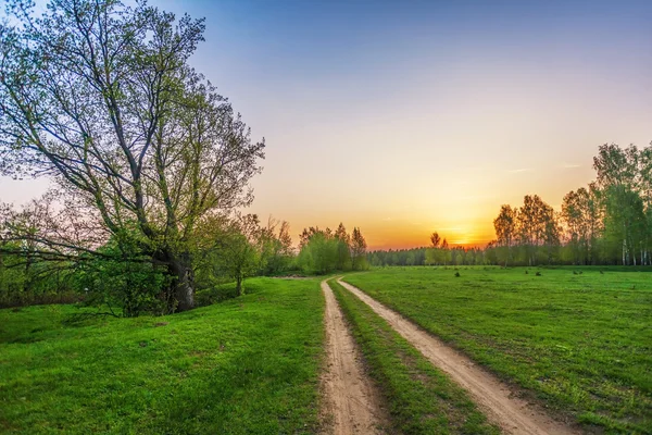 Strada in campo tramonto — Foto Stock