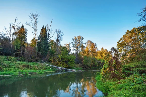 Grönt fält med floden — Stockfoto