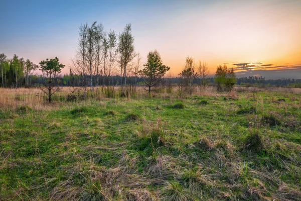 Puesta de sol en el campo de verano — Foto de Stock