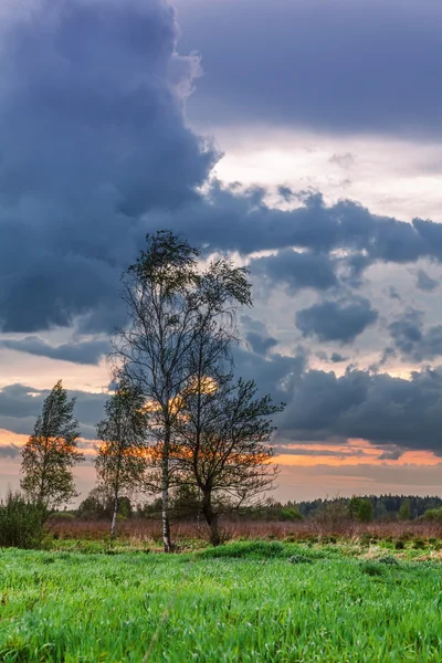 Gloomy sunset in field — Stock Photo, Image