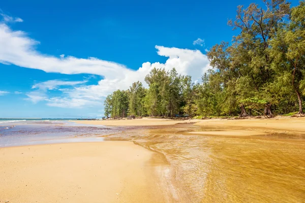 Plage tropicale exotique. — Photo