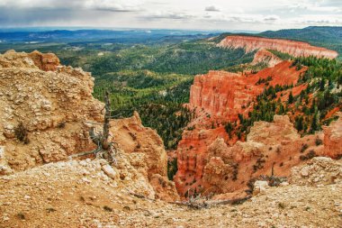 bryce canyon bakış açısından görüntüleme. Utah. ABD 