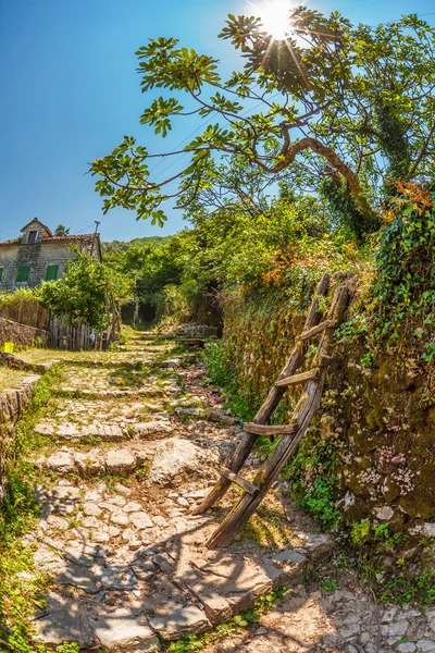 Su strada di villaggio — Foto Stock