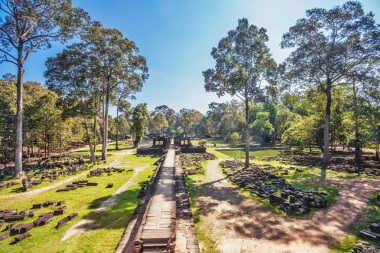 vasıl angkor wat alan orman orman