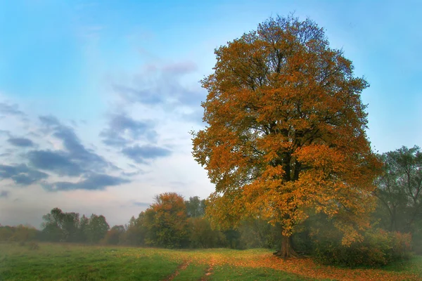 Pfad im Herbstpark — Stockfoto