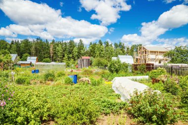 Küçük bahçeler görünümünü 