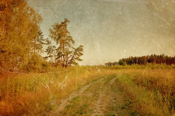 Summer field under sky in grunge style — Stock Photo, Image