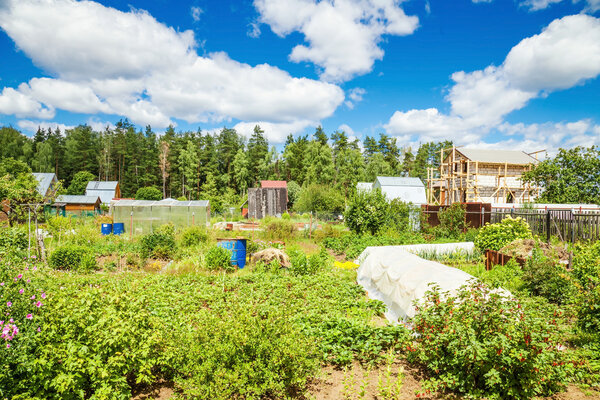 View of small gardens 