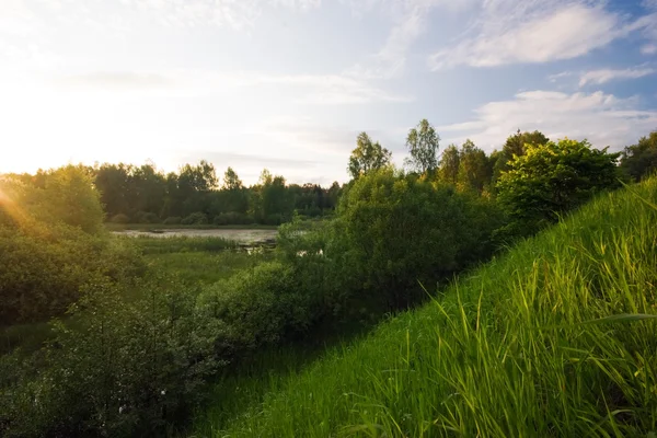 Campo verde con río — Foto de Stock