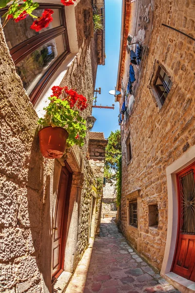 Fish-eye view of the old city on sky background — Stock Photo, Image