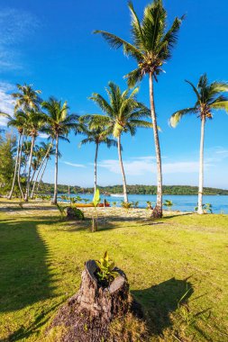 Egzotik tropikal plaj.